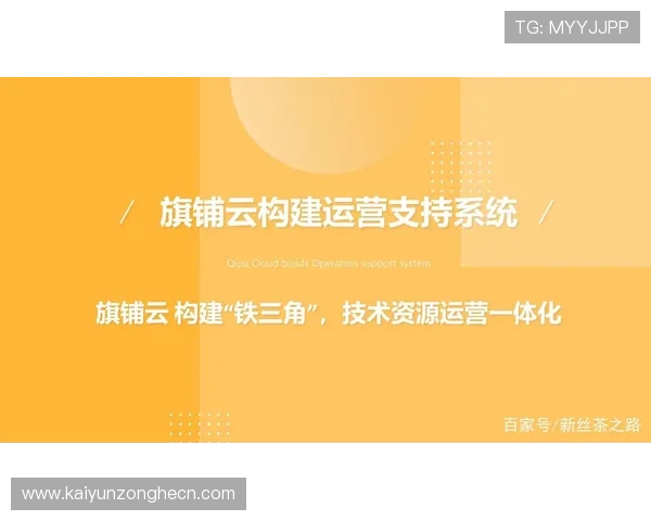 开云公司简介:全面了解开云集团的发展历程与企业文化
